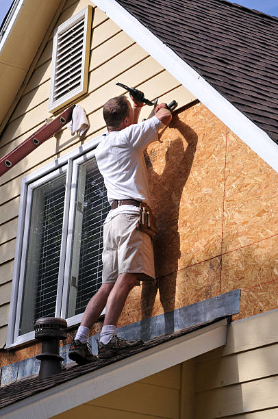 Best Storm Damage Siding Repair  in Gorevle, IL